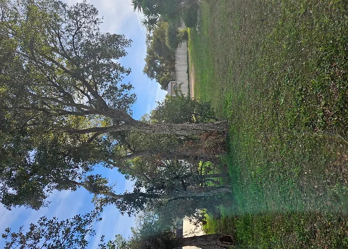 Mobilehome Chez Dede Порто-Веккіо